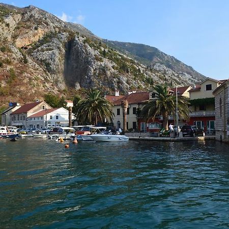 Apartments Qualitas Kotor Kültér fotó