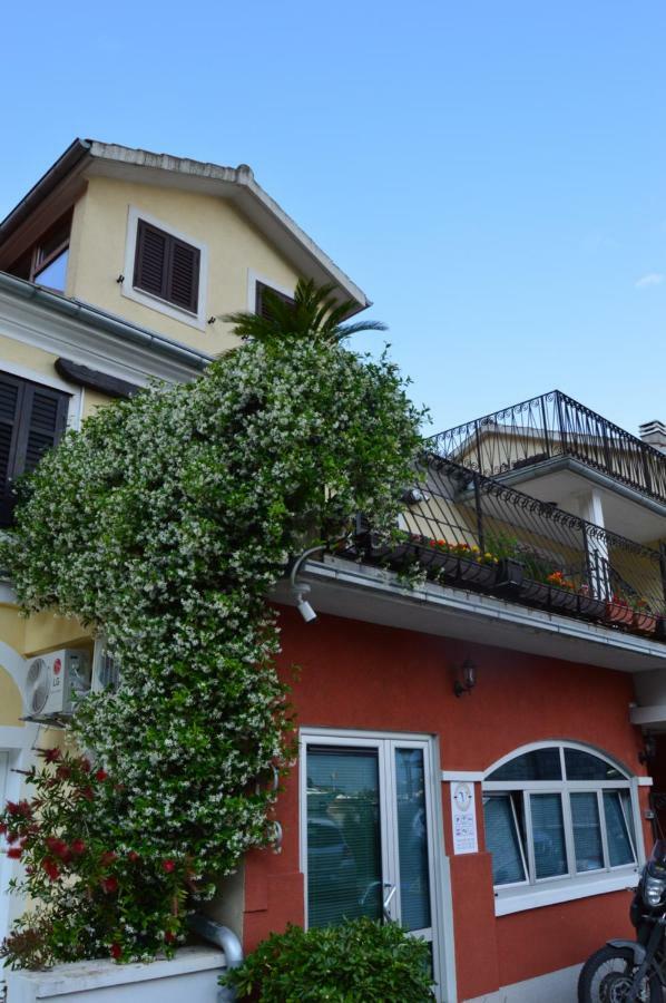 Apartments Qualitas Kotor Kültér fotó